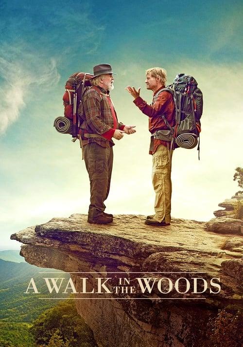 A Walk in the Woods Poster