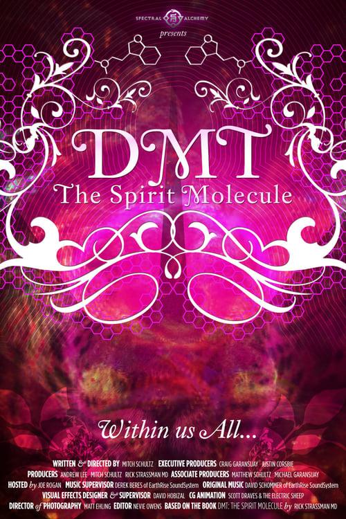 DMT: The Spirit Molecule Poster