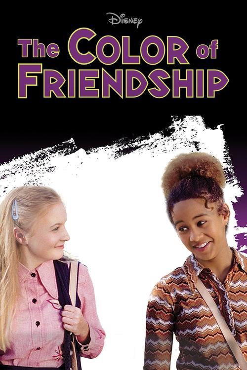 The Color of Friendship Poster