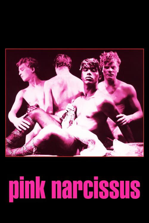 Pink Narcissus Poster