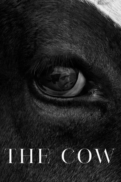 The Cow Poster