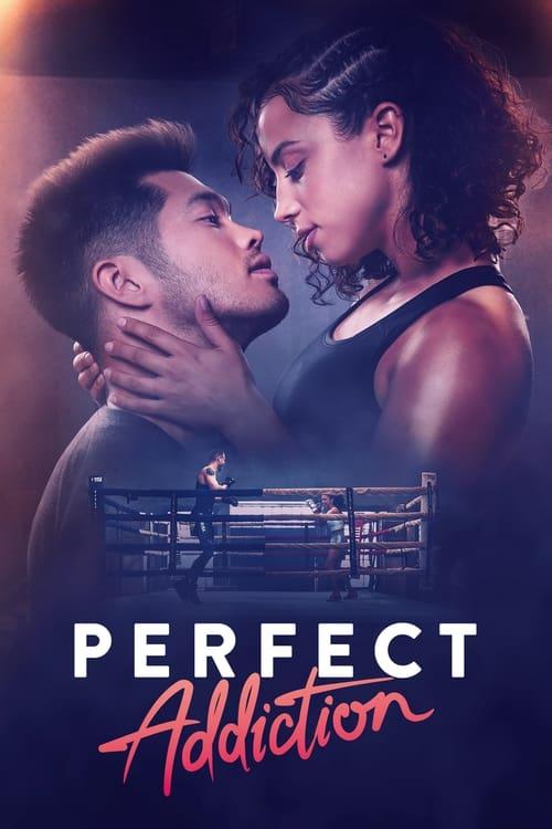 Perfect Addiction Poster