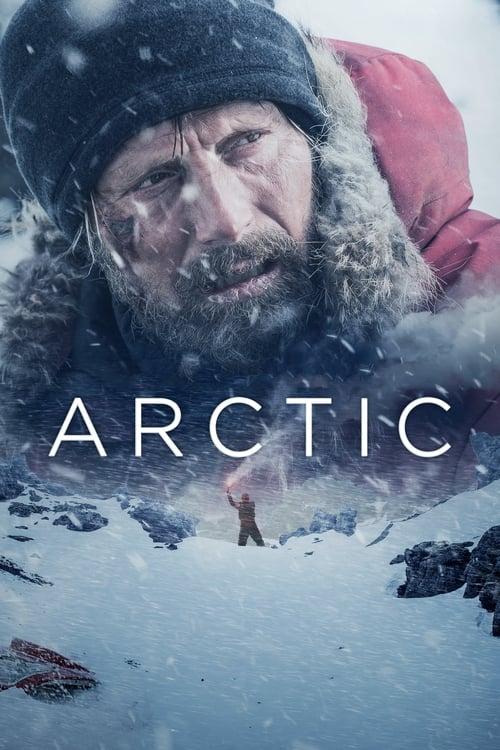 Arctic Poster