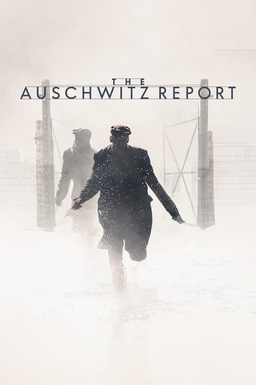 The Auschwitz Report Poster