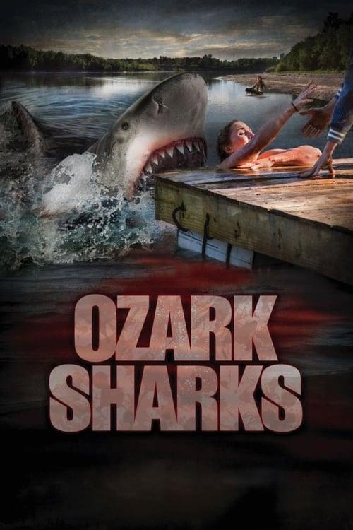 Ozark Sharks Poster