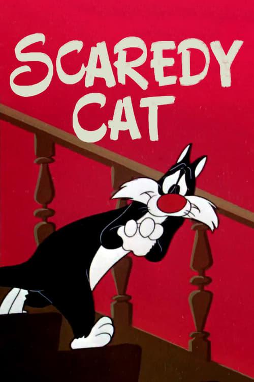 Scaredy Cat Poster