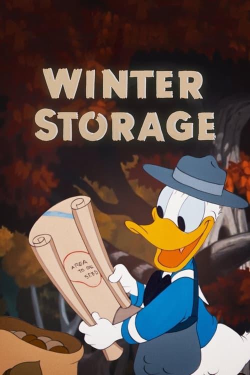 Winter Storage Poster