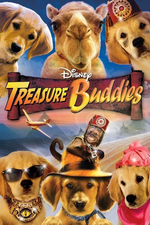 Treasure Buddies Poster