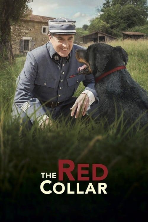 The Red Collar Poster