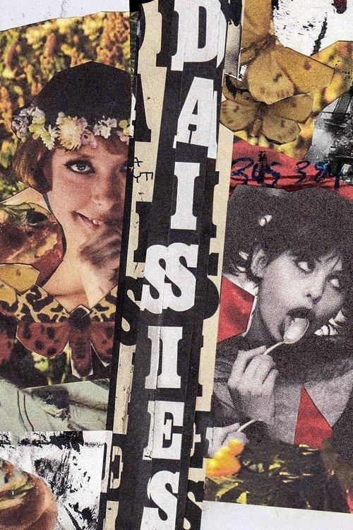 Daisies Poster