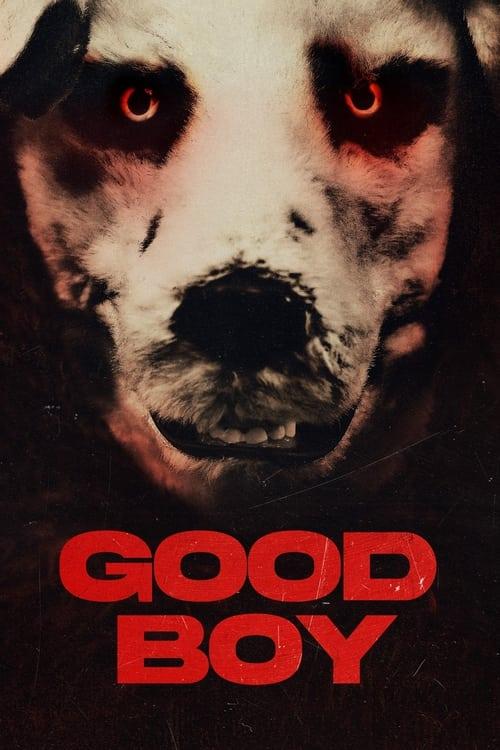 Good Boy Poster