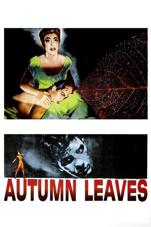 Autumn Leaves Poster