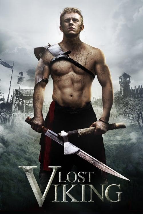 The Lost Viking Poster