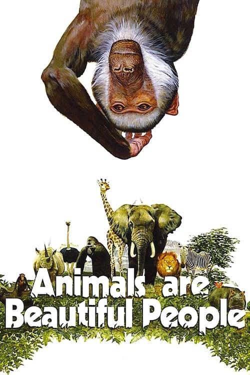 Animals Are Beautiful People Poster