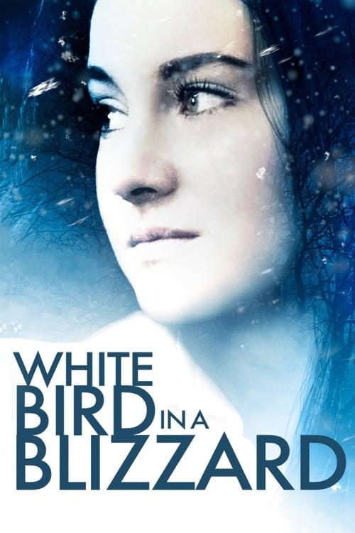 White Bird in a Blizzard Poster