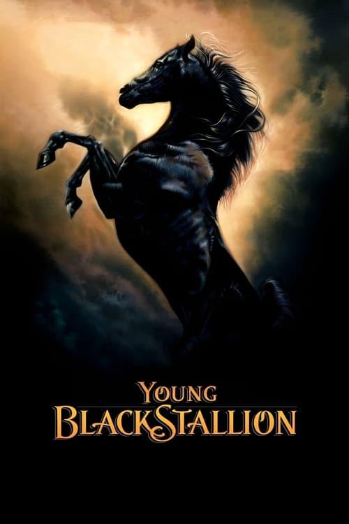 Young Black Stallion Poster