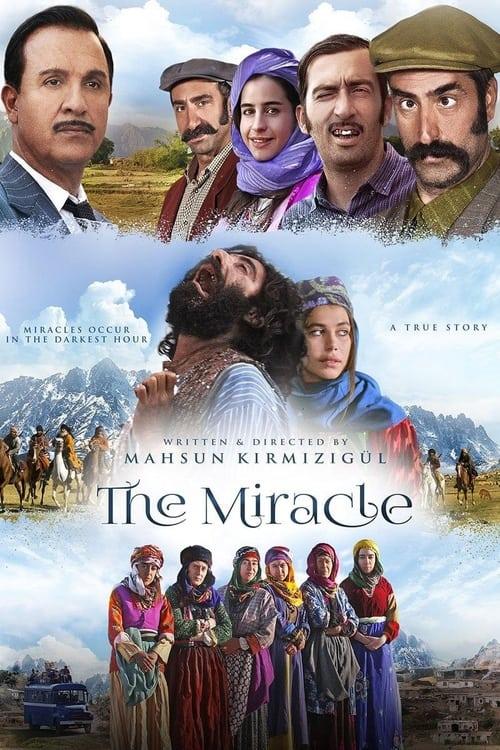 The Miracle Poster