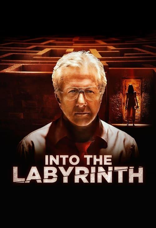 Into the Labyrinth Poster