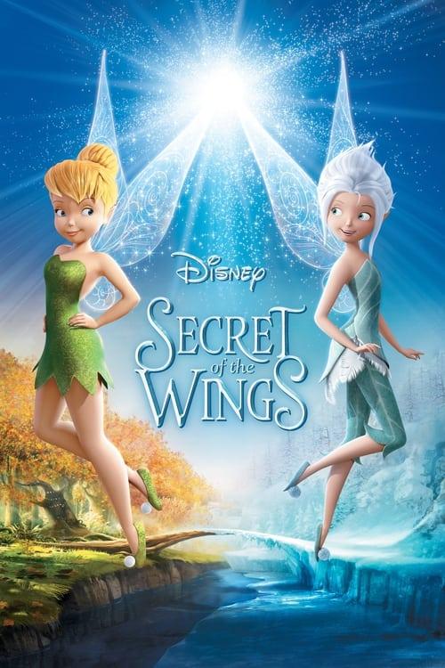 Secret of the Wings Poster