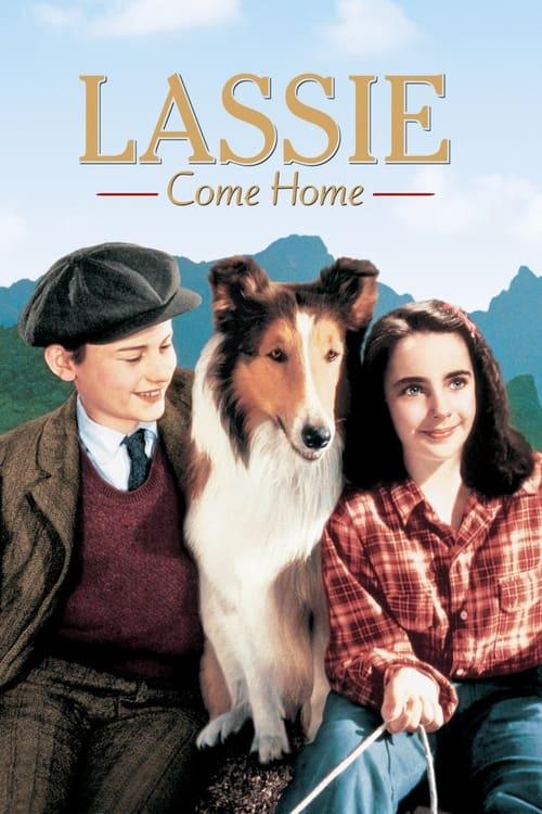 Lassie Come Home Poster