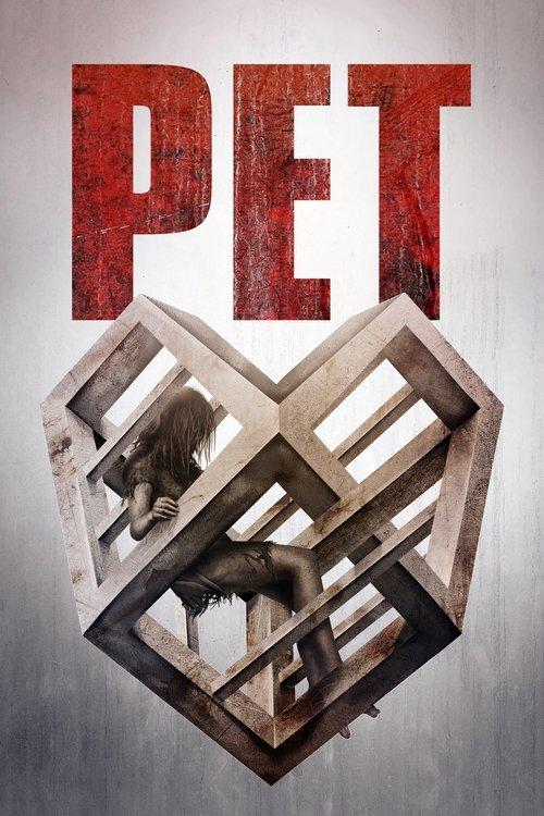 Pet Poster