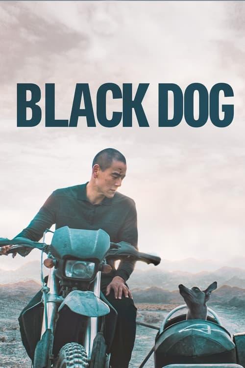 Black Dog Poster