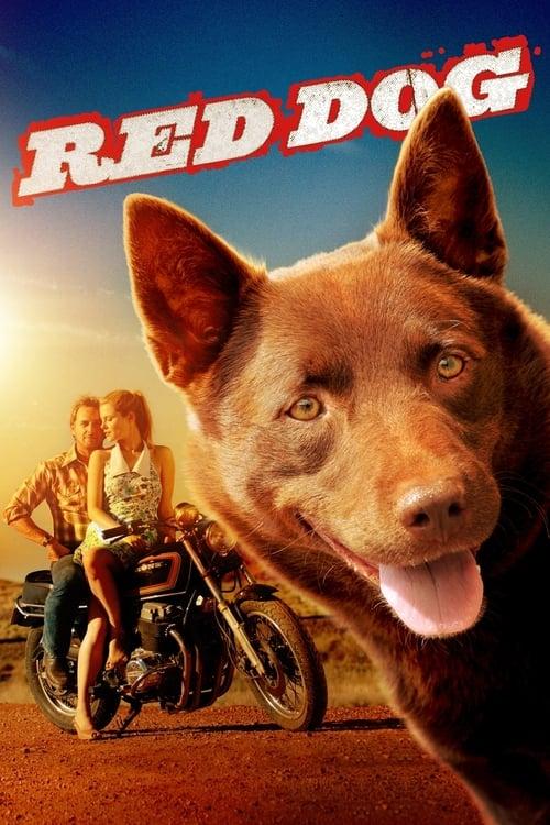 Red Dog Poster