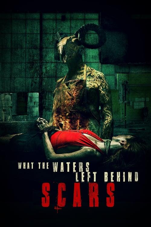 What the Waters Left Behind: Scars Poster