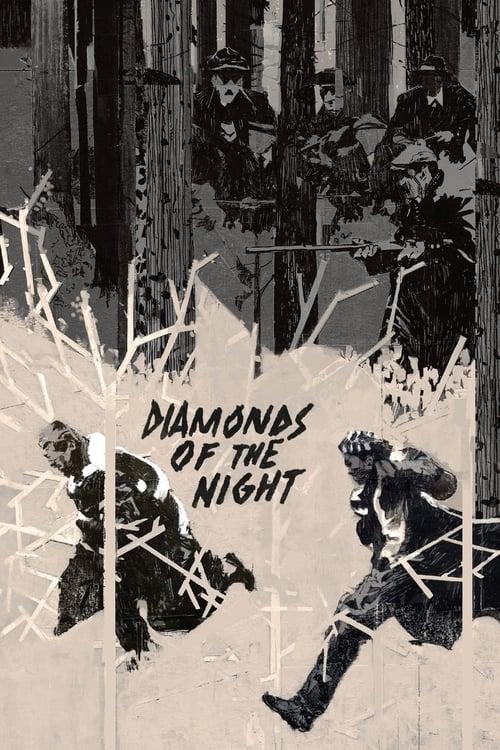 Diamonds of the Night Poster