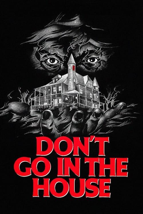 Don't Go in the House Poster