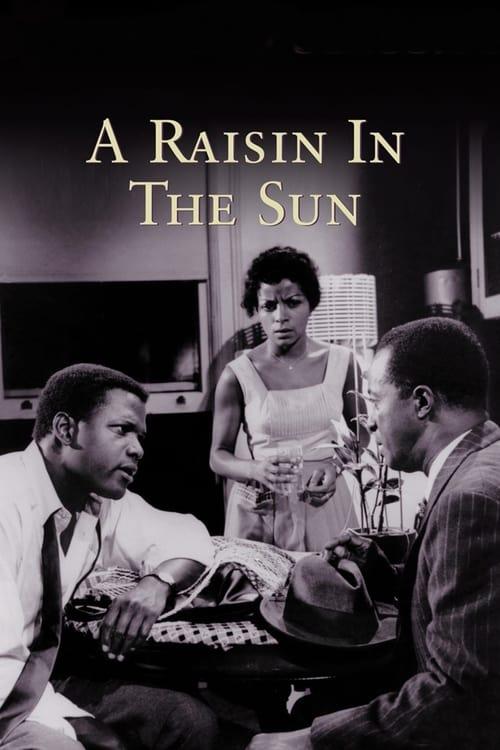 A Raisin in the Sun Poster