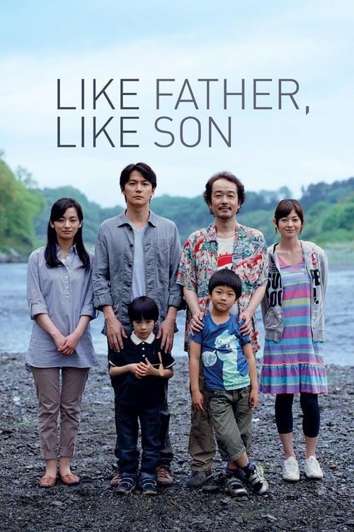 Like Father, Like Son Poster