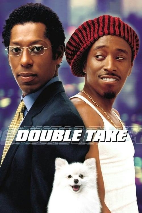 Double Take Poster