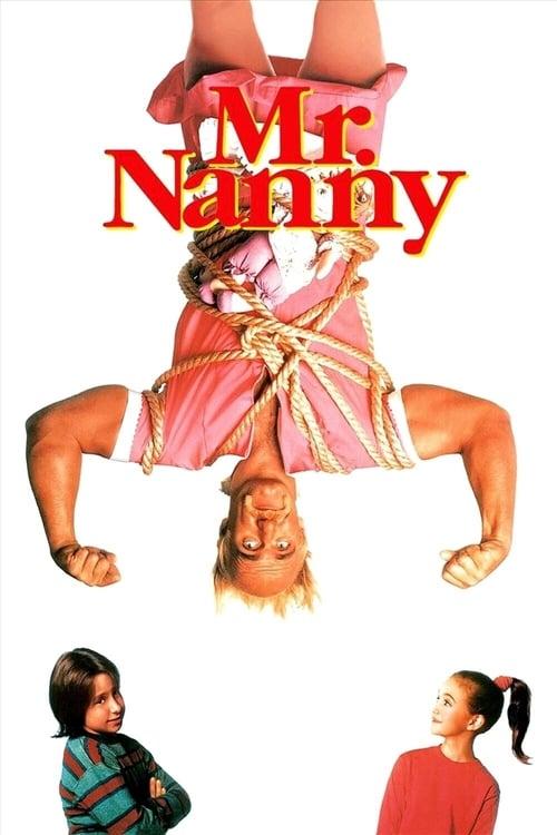 Mr. Nanny Poster