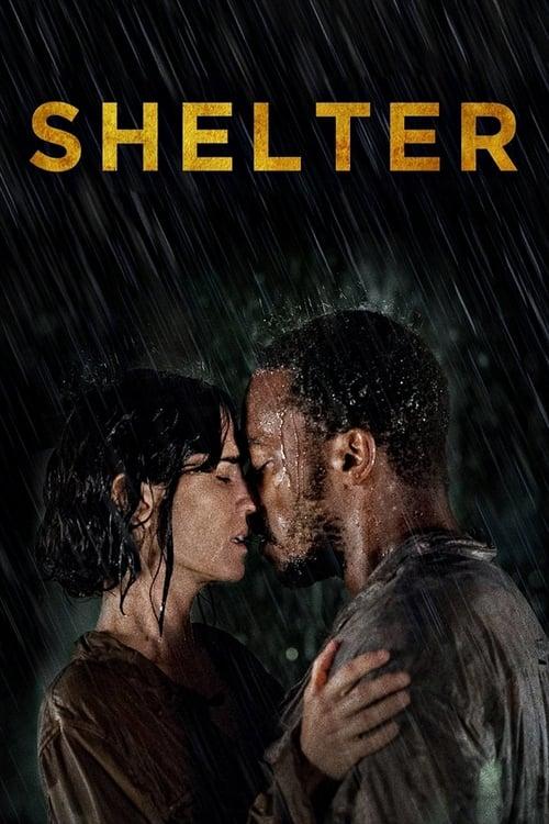 Shelter Poster