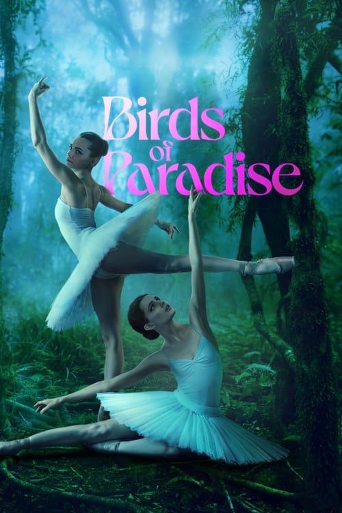 Birds of Paradise Poster