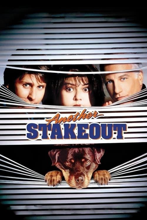 Another Stakeout Poster