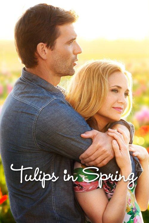 Tulips in Spring Poster