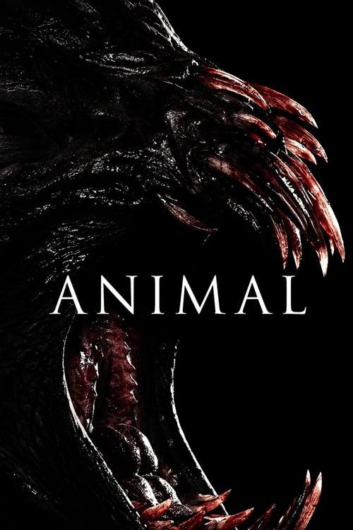 Animal Poster