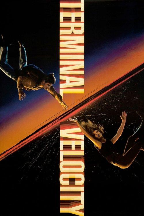 Terminal Velocity Poster