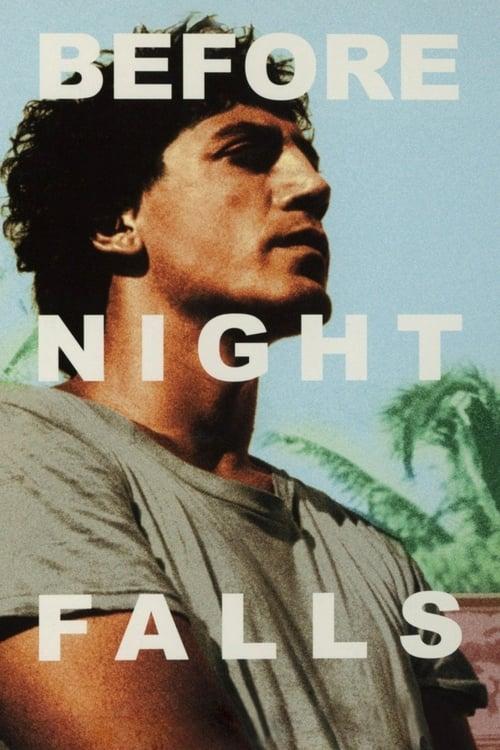 Before Night Falls Poster