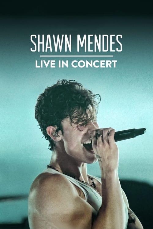 Shawn Mendes: Live in Concert Poster