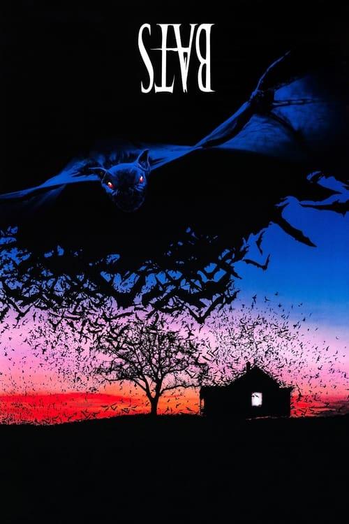 Bats Poster