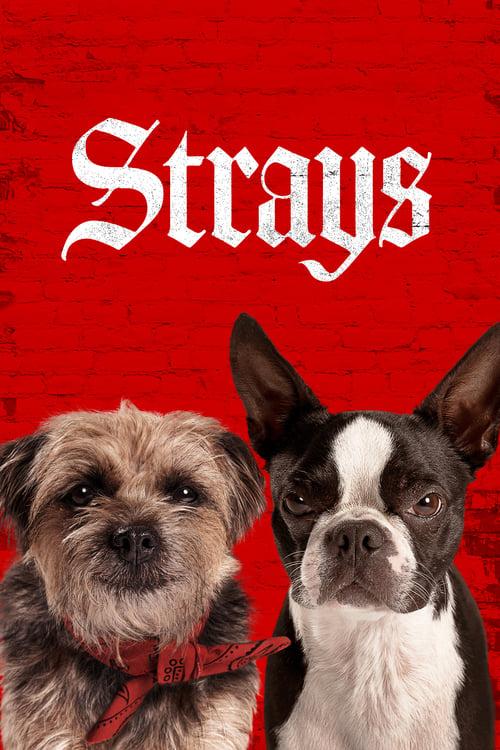 Strays Poster