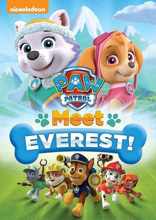 PAW Patrol: Meet Everest Poster