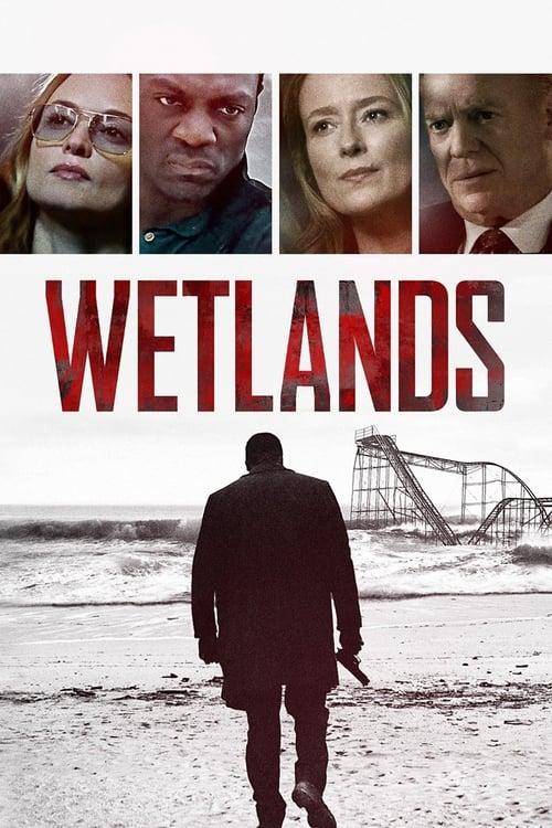 Wetlands Poster