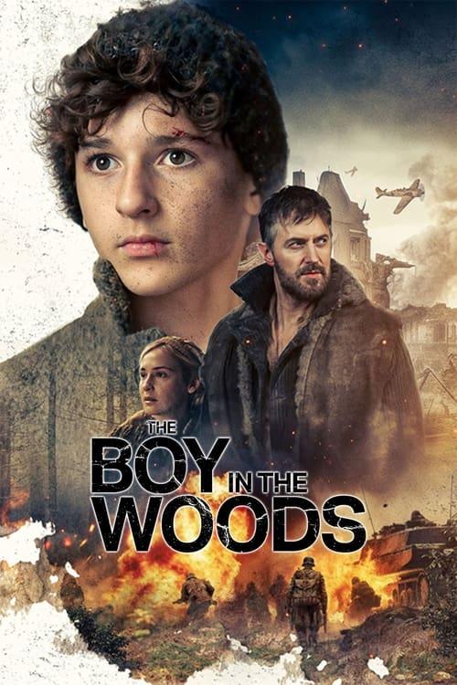 The Boy in the Woods Poster