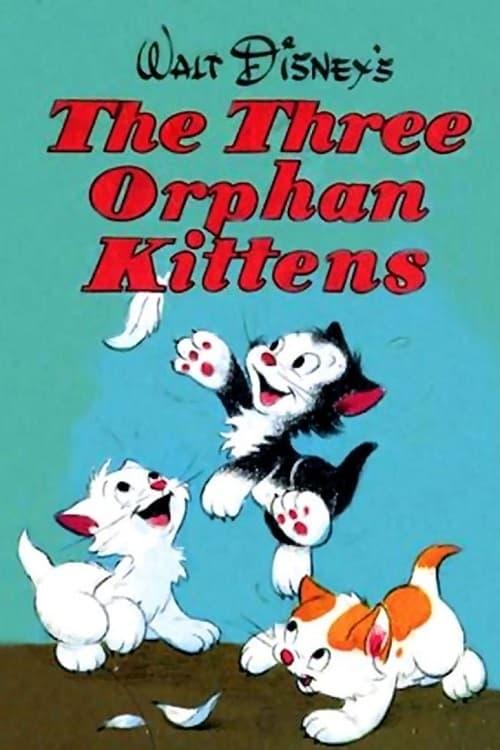 Three Orphan Kittens Poster