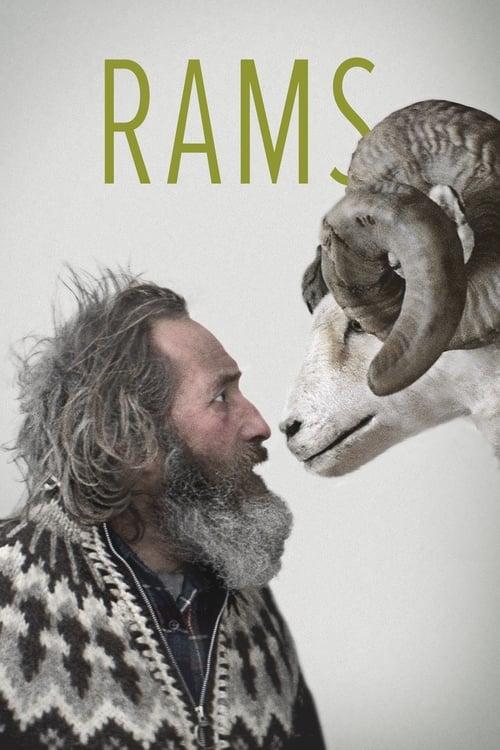 Rams Poster