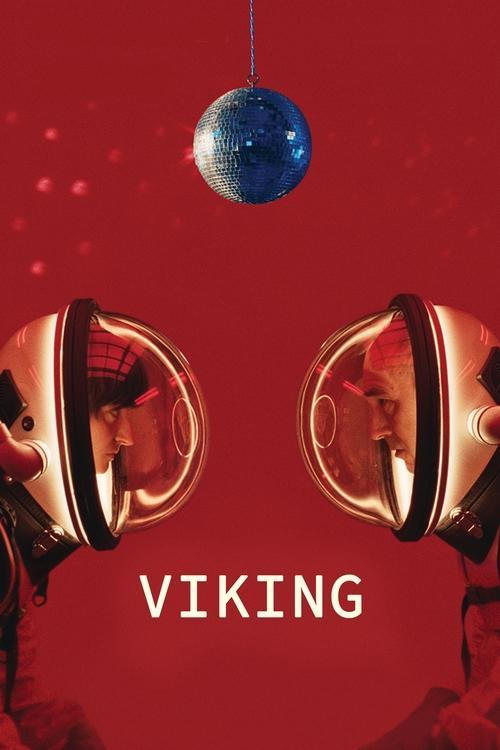 Viking Poster